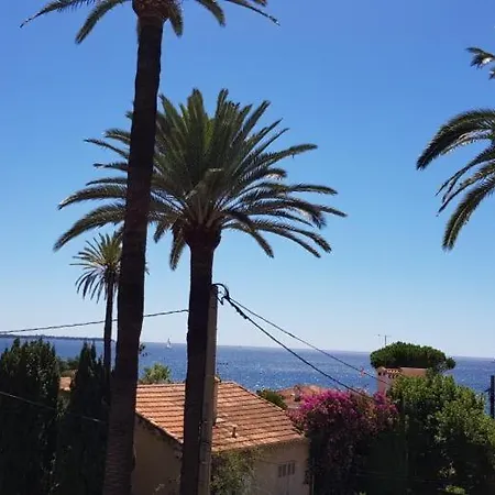 Les Pins * Cannes